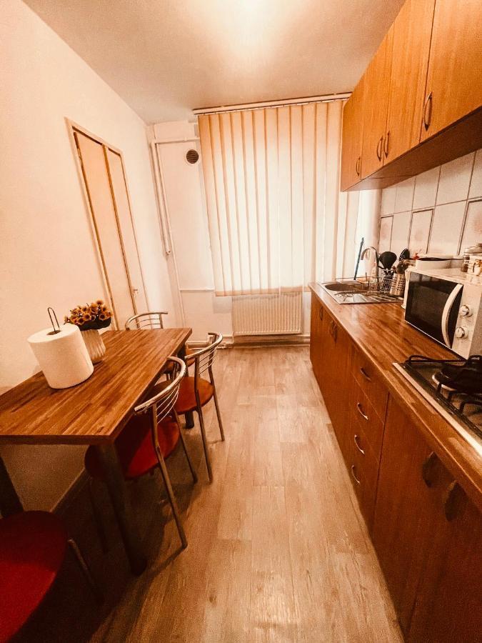 Ultracentral Big Apartment - Near The Opera Square P17 Timisoara Exterior foto