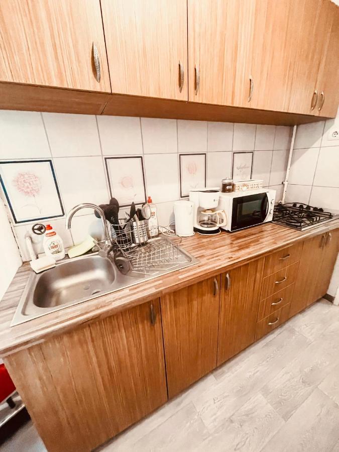 Ultracentral Big Apartment - Near The Opera Square P17 Timisoara Exterior foto