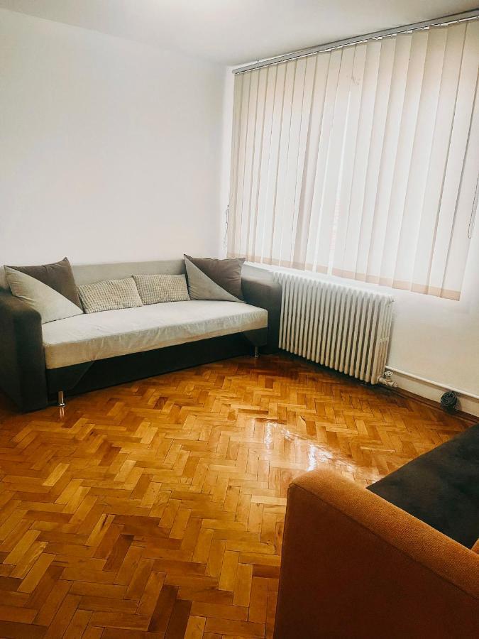 Ultracentral Big Apartment - Near The Opera Square P17 Timisoara Exterior foto
