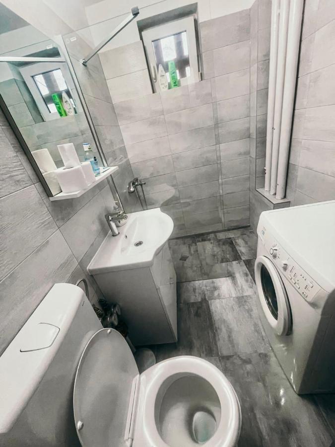 Ultracentral Big Apartment - Near The Opera Square P17 Timisoara Exterior foto